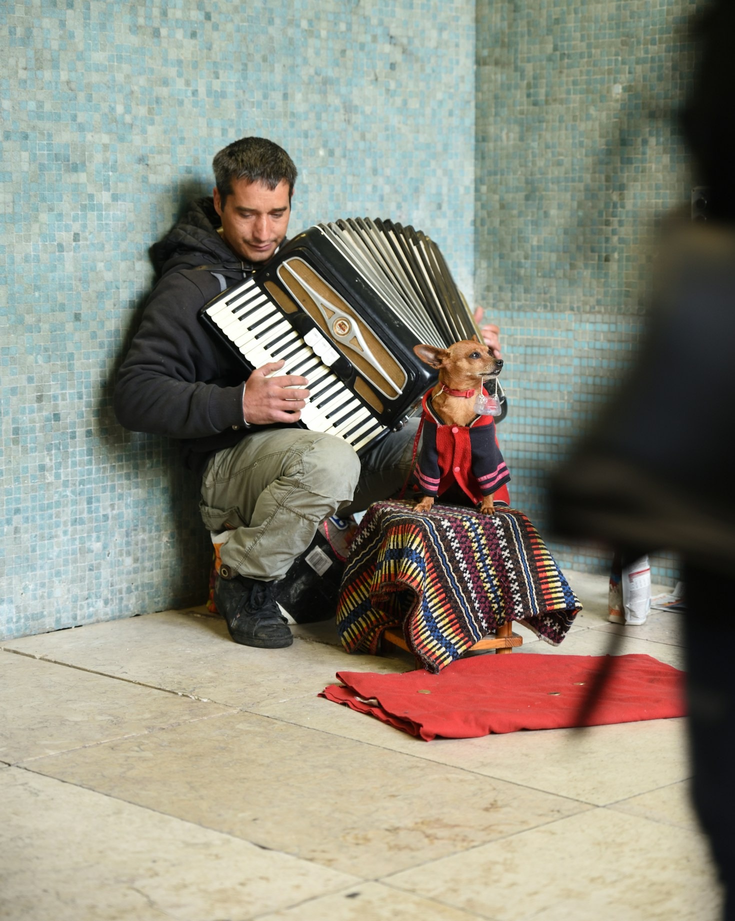 LObservations: Insights into PTSD and AI