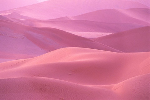 Pink sand dunes of Africa